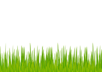Obraz premium Green abstract pattern composed of colored green grass on white background. Colorful bright background with space for text, horizontal view. Imitation of grass.