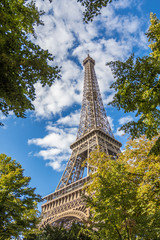 Eiffel Tower in green trees on blue sky