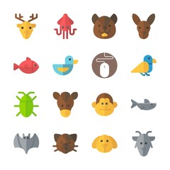 icon Animals with shark, horse, kangaroo, bat and cat