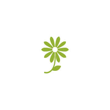 Green flat icon of camomile with sprig and leaf. Isolated on white. Vector illustration. Eco style.