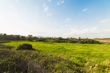 Green field and blue sky in Sardinia