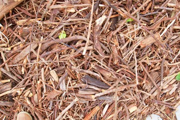 Abstract texture of the beach stones on the autumn grass background.