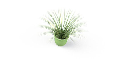 Green plant in brown vase isolated on white