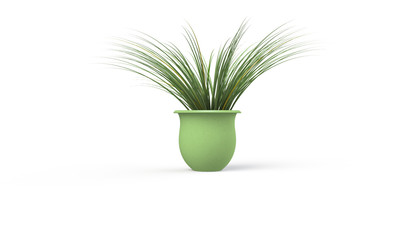 Green plant in brown vase isolated on white