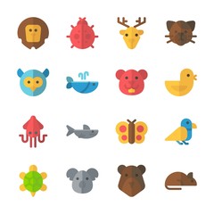 icon Animals with koala, cat, shark, owl and butterfly