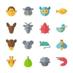 icon Animals with owl, giraffe, mouse, horse and koala