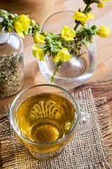 A cup of mullein (verbascum) tea with fresh mullein