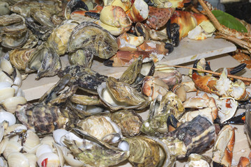 Different seafood close-up