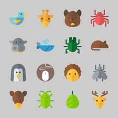 Icons about Animals with cockroach, rat, giraffe, mosquito, mouse and spider