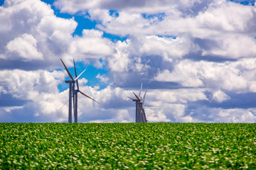 Windfarm In Eastern Oregon