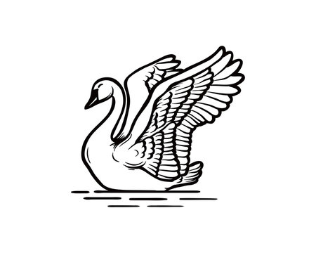 Line Art Swan Bird on the Water Sign Symbol Icon Animal Logo Vector