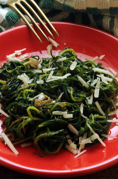 Salsola soda Barba di frate &Alpha;&lambda;&mu;ύ&rho;&alpha; Săricică Riscolo Salicorn fi Agretti Ensalada Sosa Insalata Soude commune de Frade 苏打猪毛菜 Salad Agretto گیاه Negus شور 
