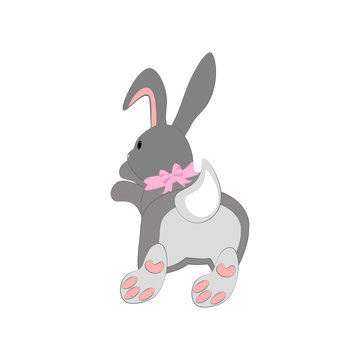 Bunny illustration vector