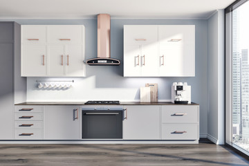 Gray kitchen interior, white and gray counters