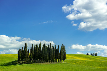 Tuscan Landscape