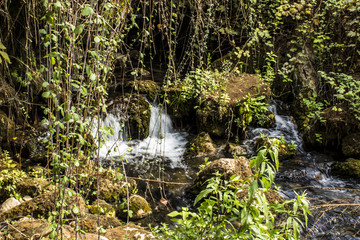 Banias park and waterfall