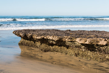 Close-up view of a rocky reef covered by barnacles at low tide at Swami's Beach in Encinitas, California.