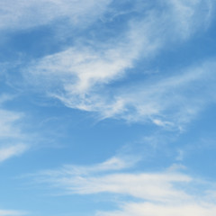 White clouds in sky