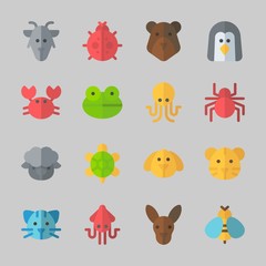Icons about Animals with bear, crab, dog, spider, penguin and frog