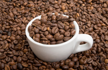 coffee beans closeup