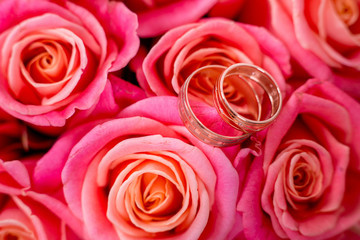 gold rings on the rose blossom