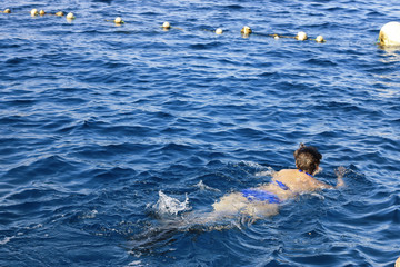 Woman photographer diving into water of Red sea