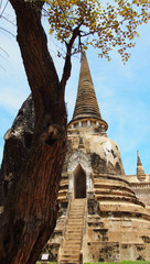 Fototapeta premium Wat Phra Si Sanphet, Ayutthaya, Thailand
