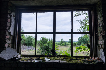 View from the window in the field. Wilderness outside the window.