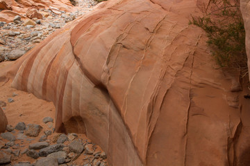 Valley of Fire 60