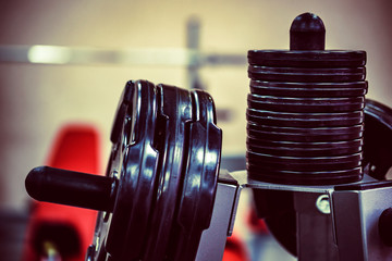 Fitness dumbbell and barbell weight plates