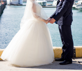 The bride and groom on the beach