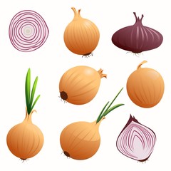  set of onions