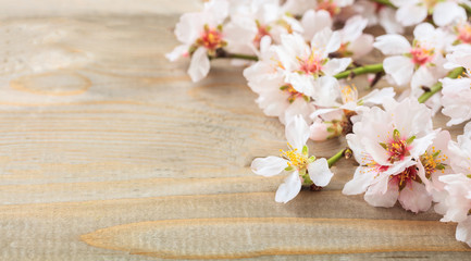 Fototapeta na wymiar Spring blooming. Pink almond blossoms on wooden board. Copy space