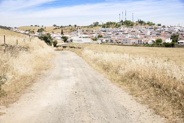 a country road to El Real de la Jara town, province of Seville, Spain