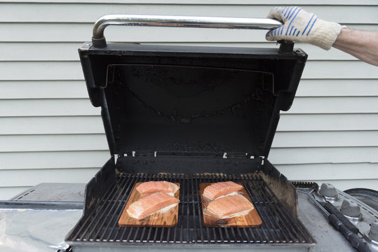 Salmon filets on grill