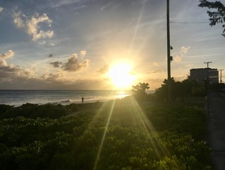 Sunset at a coastal street in Oistins, Barbados (Caribbean Island) with palm trees, beach and beautiful turquoise ocean in the background