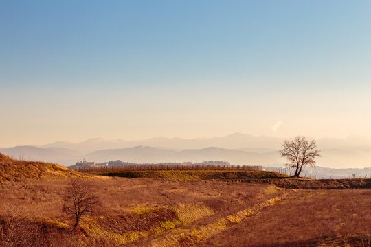 Collio Friulano, Udine Province, Friuli Venezia-Giulia, Italy. Sunny day in the vineyards.