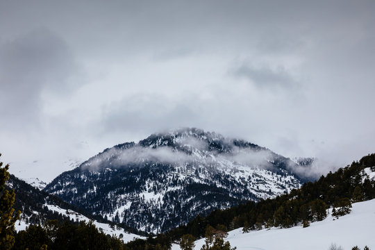 Snowy landscape