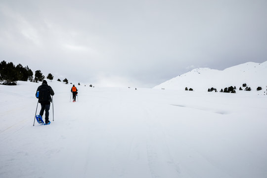 Hikers walking on snow covered landscape