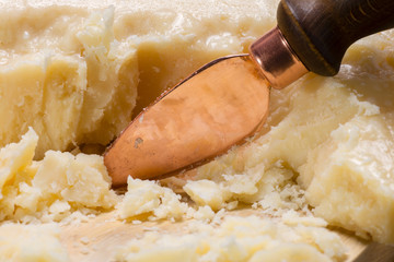 parmigiano