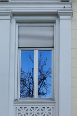 Tree and sky reflexion in the window white house