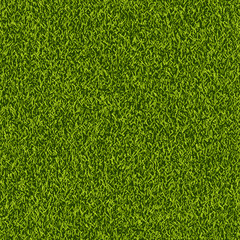 Vector green grass lawn seamless texture. Abstract spring or summer nature background. Field or meadow realistic illustration.