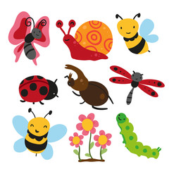 bugs collection, insect vector design