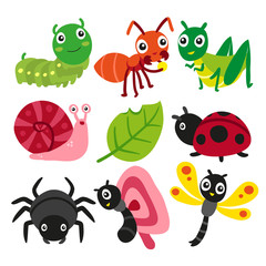 Bugs collection, insect vector design