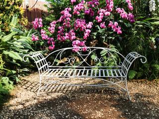 White line steel vintage style bench in garden with beautiful white violet purple pink orchid flower tree background