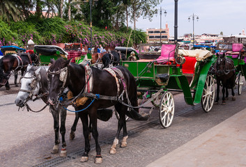 Pferdekutschen in Marrakesch