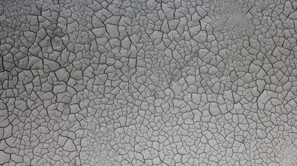 Cracked mud marks