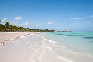 Tropical Beach with White Sand and Palm Trees, in Cap Cana,Dominican Republic