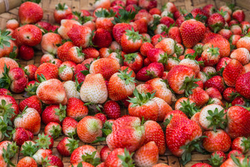 Red strawberry, Loosely laid strawberries in different positions.