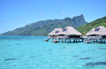 Moorea(Tahiti)